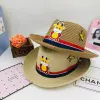 Hats for boys and girls aged 2 to 8, summer sun hats, children's straw hats, boys' sun hats, and cool fisherman hats Specification image
